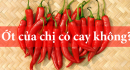Nghệ thuật bán hàng đỉnh cao từ câu chuyện "Ớt có cay không?"